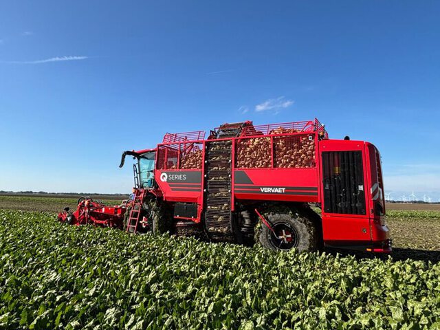 Rooien+ afvoer bieten