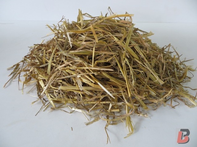 Tarwestro