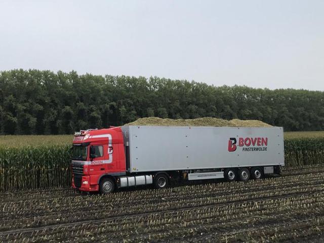 Transport